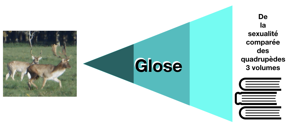 Glose.001